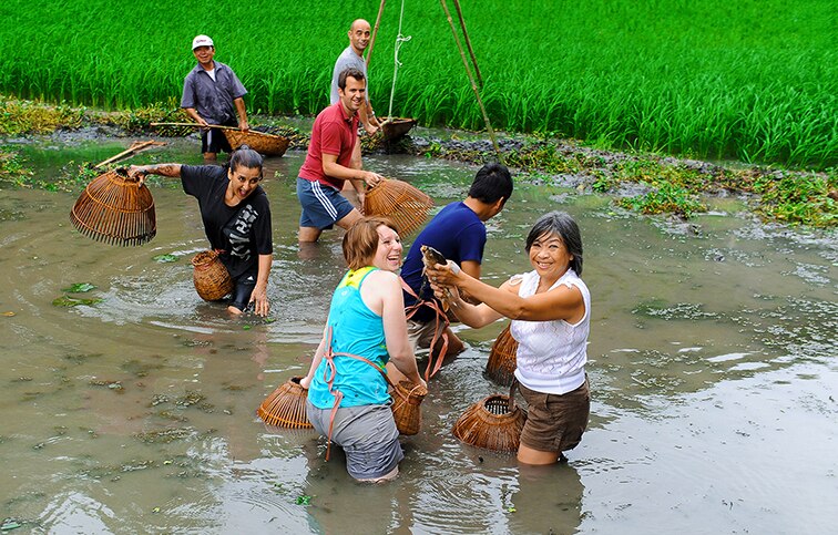 Ninh Bình đánh thức di sản phát triển du lịch bền vững