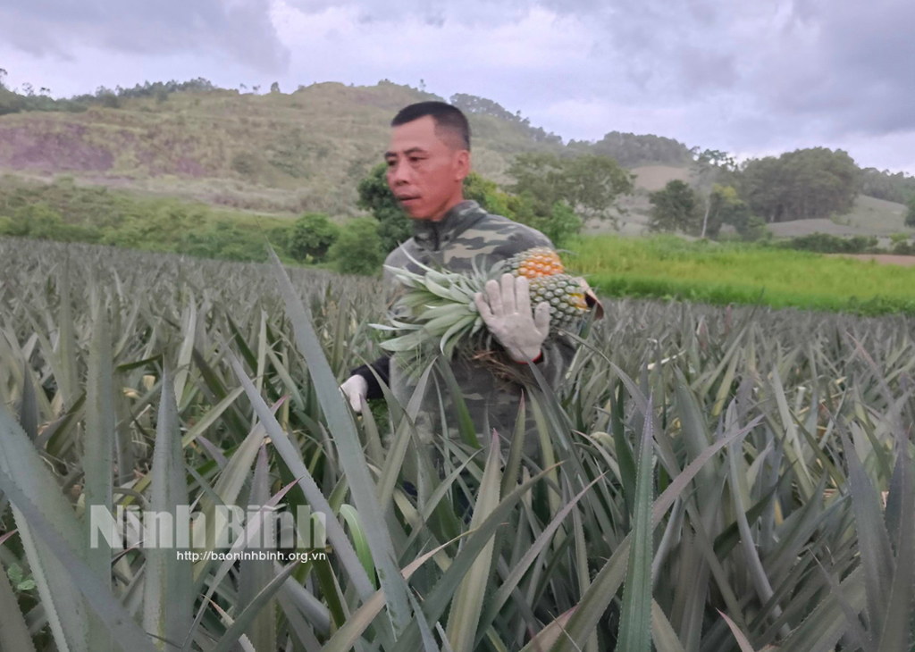 Thu hút tập hợp hội viên nông dân là người dân tộc thiểu số đồng bào có đạo Cách làm ở xã Quảng Lạc