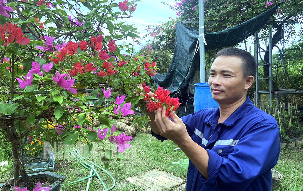 Gia Lâm Phát triển nhiều mô hình trồng hoa cây cảnh