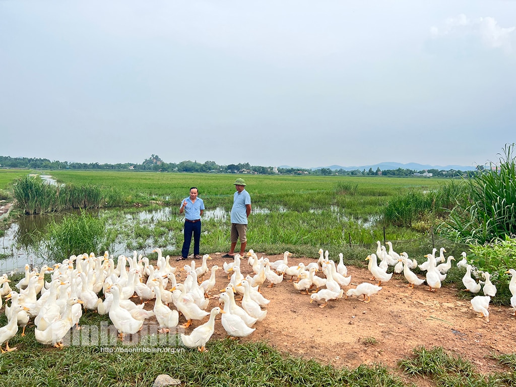 Sơn Thành viết tiếp truyền thống quê hương cách mạng