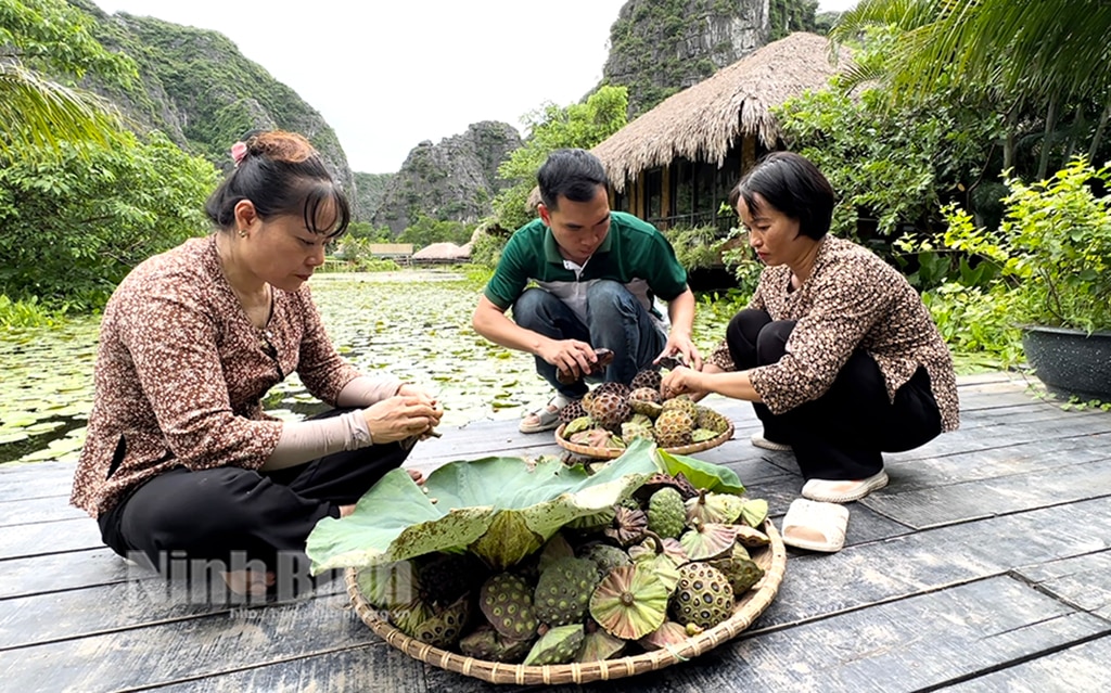 Lưu giữ truyền tải văn hóa Việt từ sản phẩm đài sen