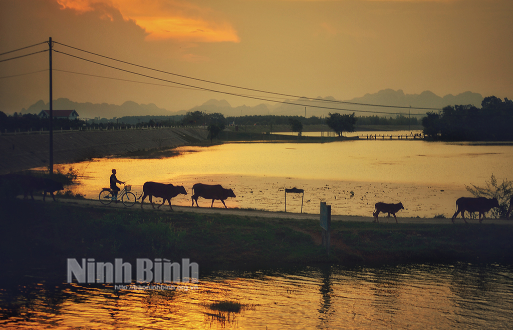 Đắm mình trong ánh hoàng hôn quê nhà