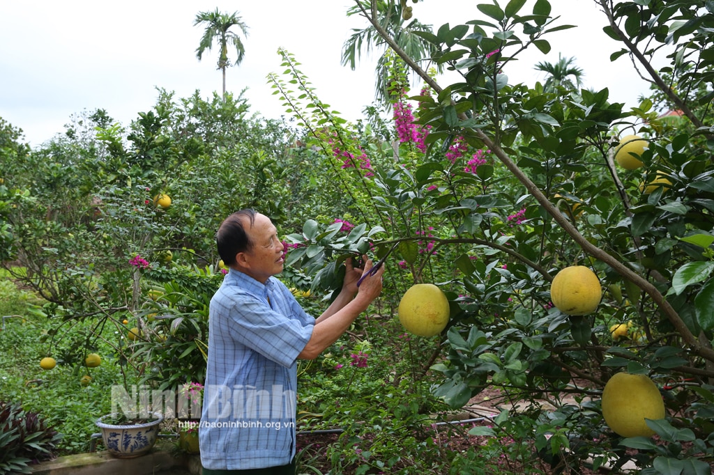 Kim Sơn huyện miền biển đạt chuẩn nông thôn mới