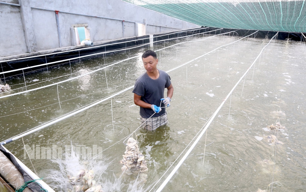 Kim Sơn huyện miền biển đạt chuẩn nông thôn mới