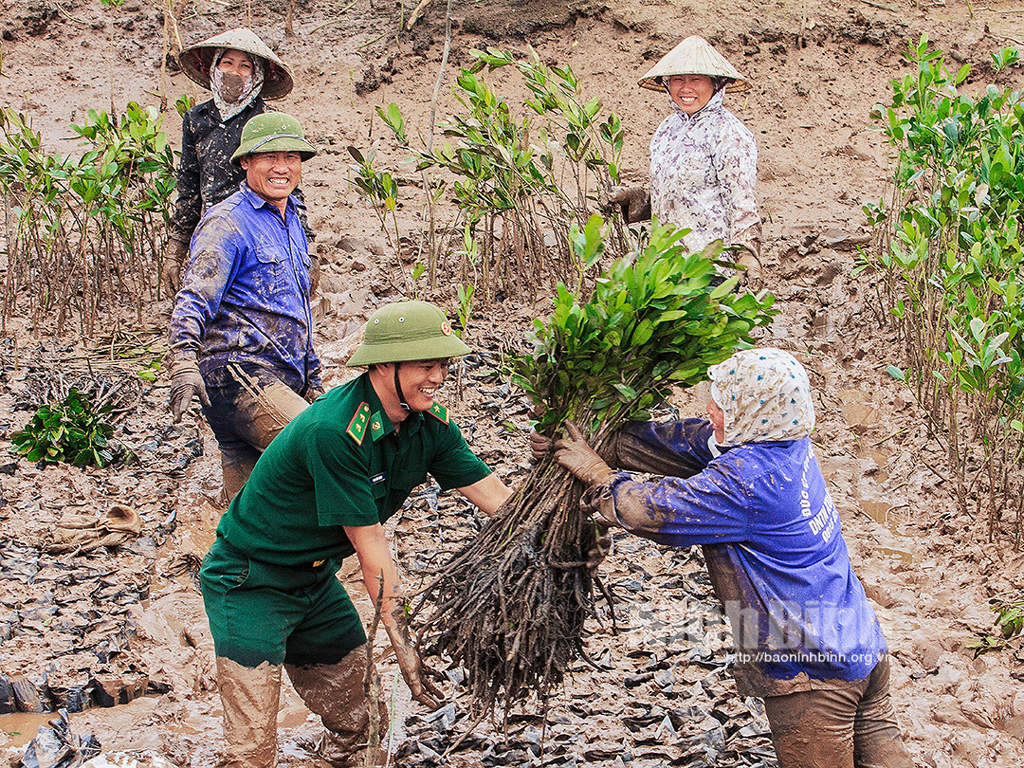 Nỗ lực xây bức tường xanh bảo vệ đê điều làng mạc ở Ninh Bình bài đang hoàn thiện ảnh chưa duyệt