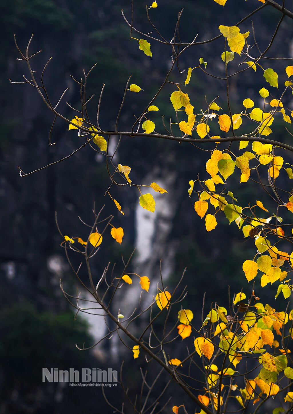 Beautiful season of changing leaves