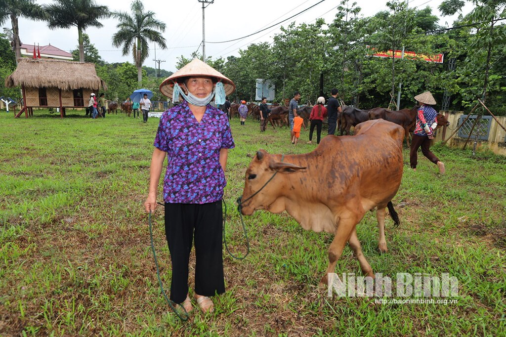 Kết nối nguồn lực hỗ trợ nhóm người yếu thế