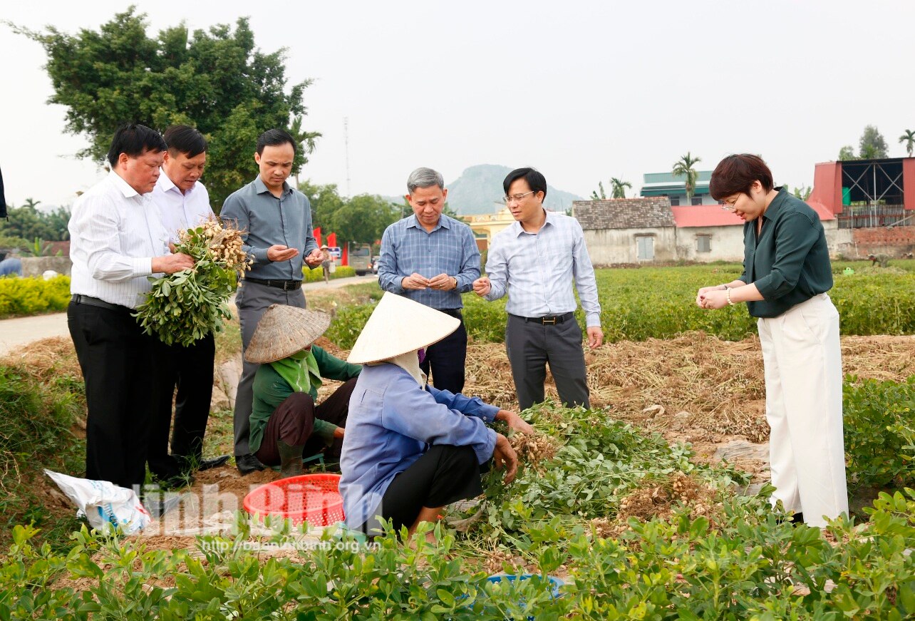 Khảo sát thực tế xây dựng xã NTM nâng cao NTM kiểu mẫu tại huyện Kim Sơn và Yên Mô