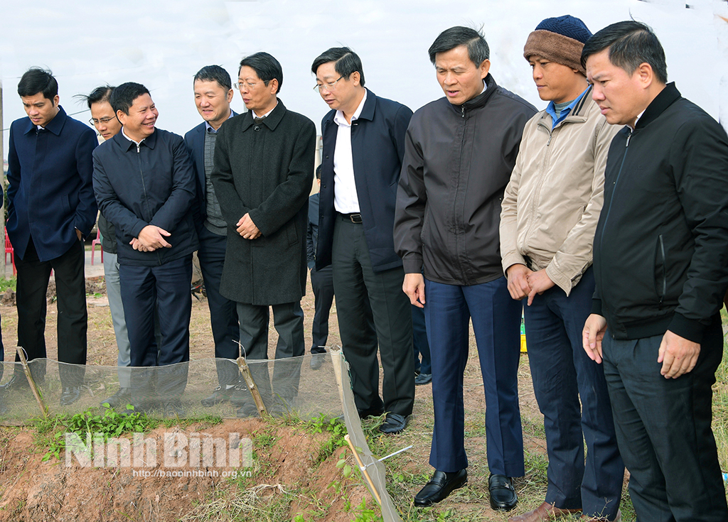 도당 비서가 김선현의 일부 사회경제개발 지역을 시찰했습니다.