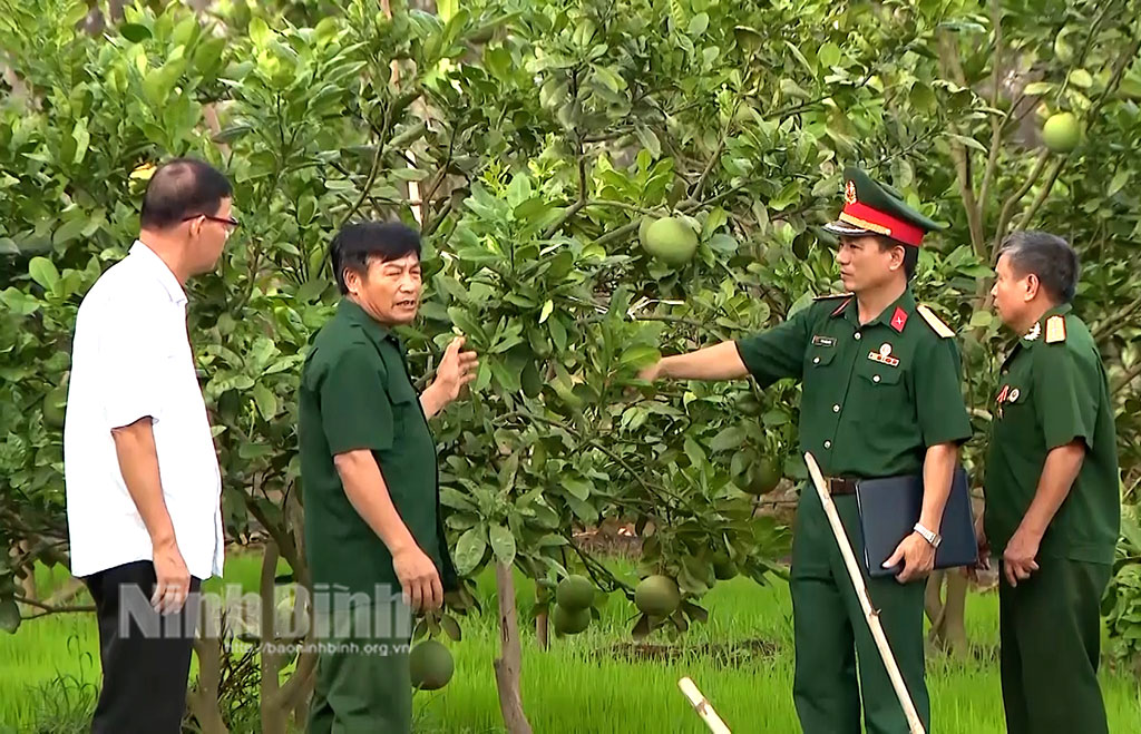 Hội Cựu chiến binh tích cực tham gia xây dựng Đảng chính quyền trong sạch vững mạnh