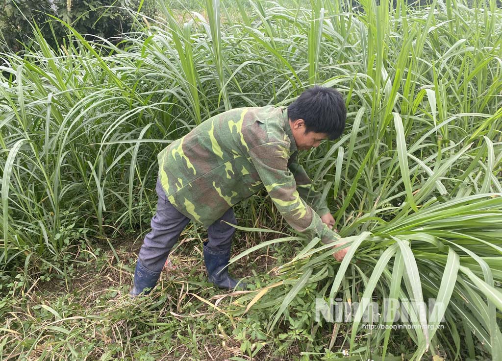 កម្ចីអនុគ្រោះបង្កើតឱកាសដើម្បីគេចចេញពីភាពក្រីក្រសម្រាប់ជនជាតិភាគតិច និងតំបន់ភ្នំ