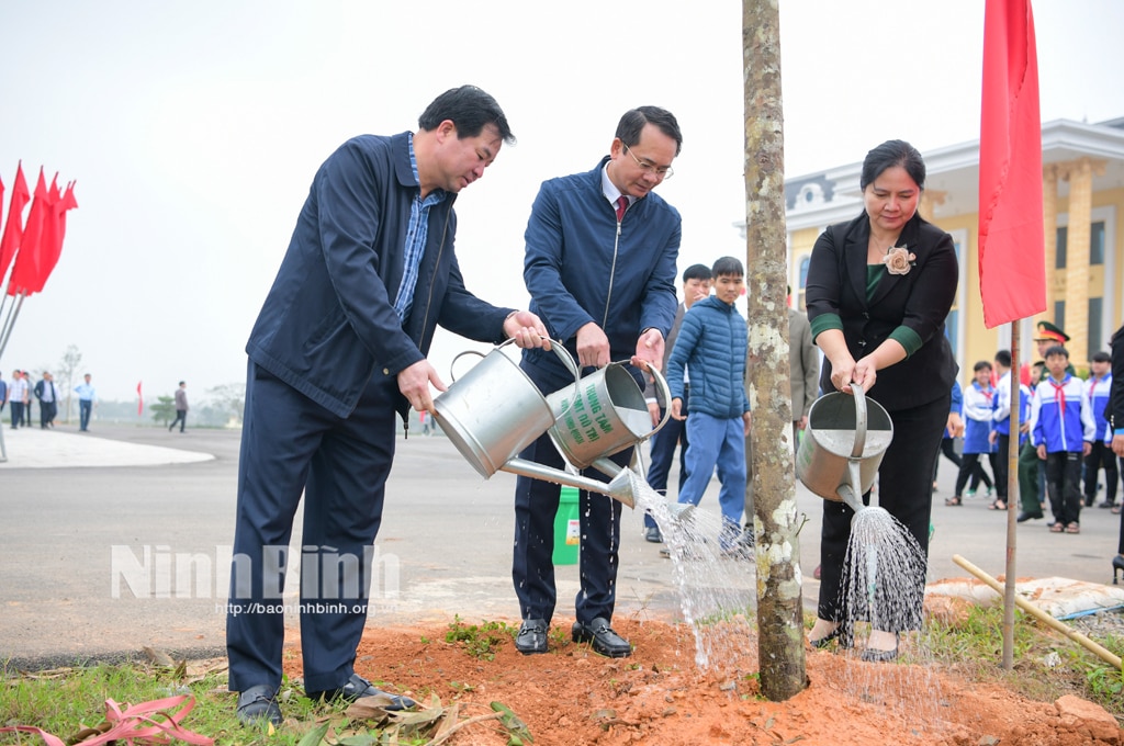 TRồng cây