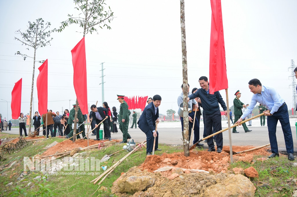 TRồng cây