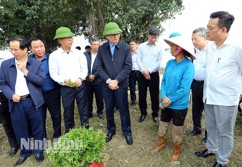 Le secrétaire provincial du Parti, Doan Minh Huan, inspecte et encourage la production au début de l'année