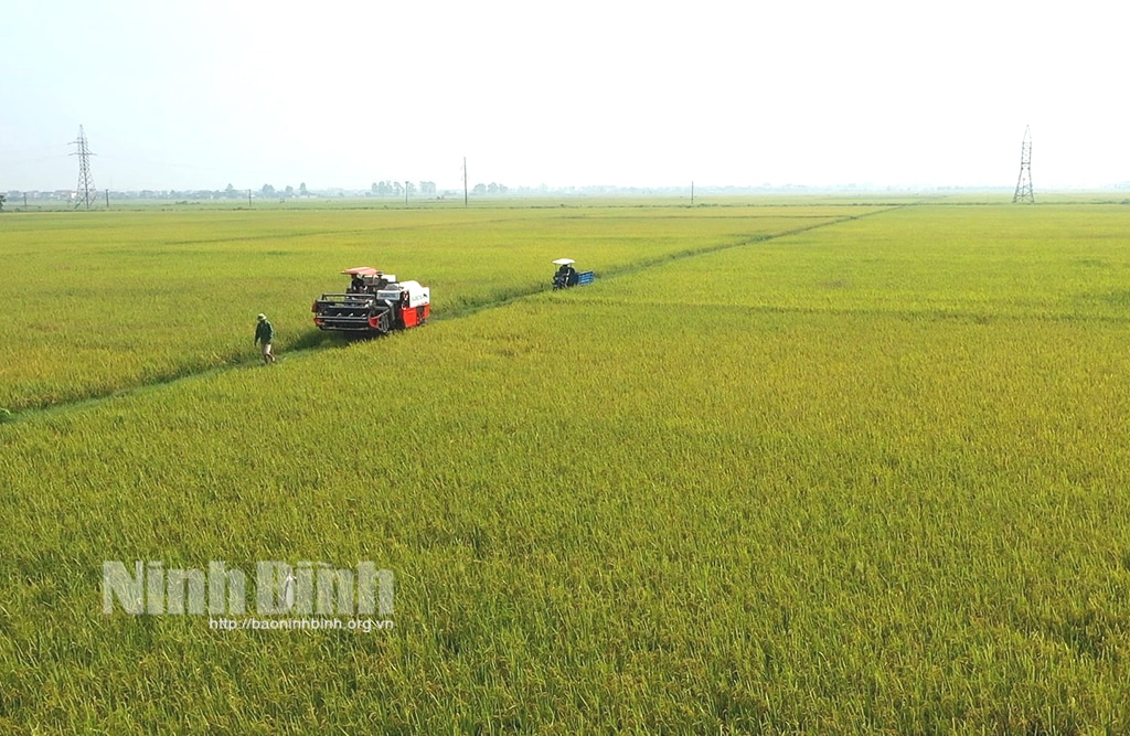 Khánh Nhạc Đảng mạnh dân tin