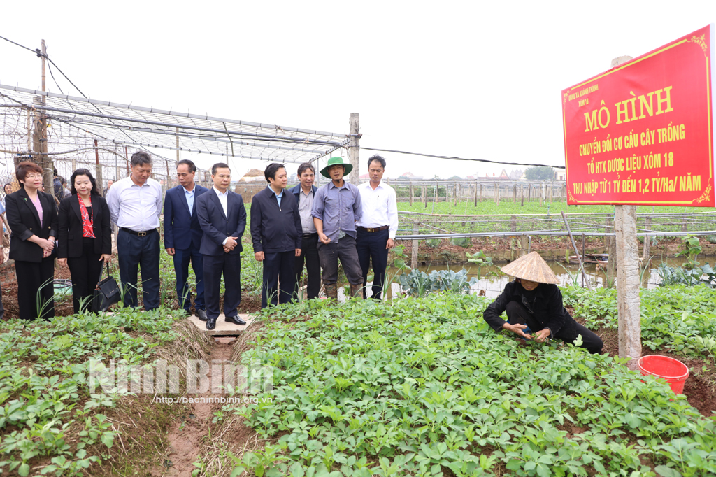 Đồng chí Chủ tịch UBND tỉnh kiểm tra động viên sản xuất đầu năm