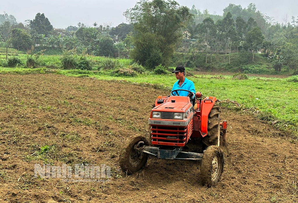 Nông dân các xã vùng cao huyện Nho Quan tập trung xuống giống cây màu