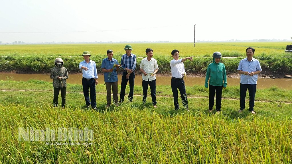 Khánh Nhạc Đảng mạnh dân tin