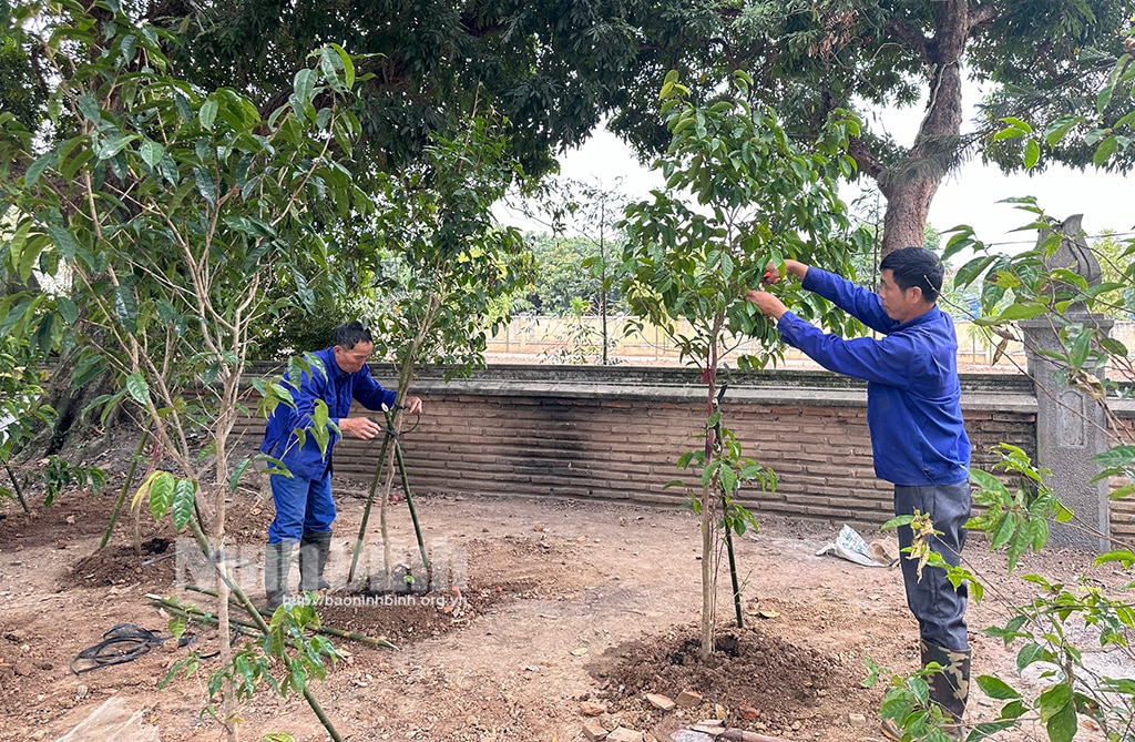 Organizing a tree planting festival to forever remember Uncle Ho at the Nguyen Temple