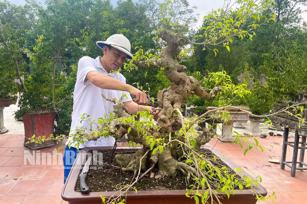 Tinh hoa Cố đô Triển lãm sinh vật cảnh hướng về Di sản Văn hóa và Thiên nhiên thế giới Tràng An