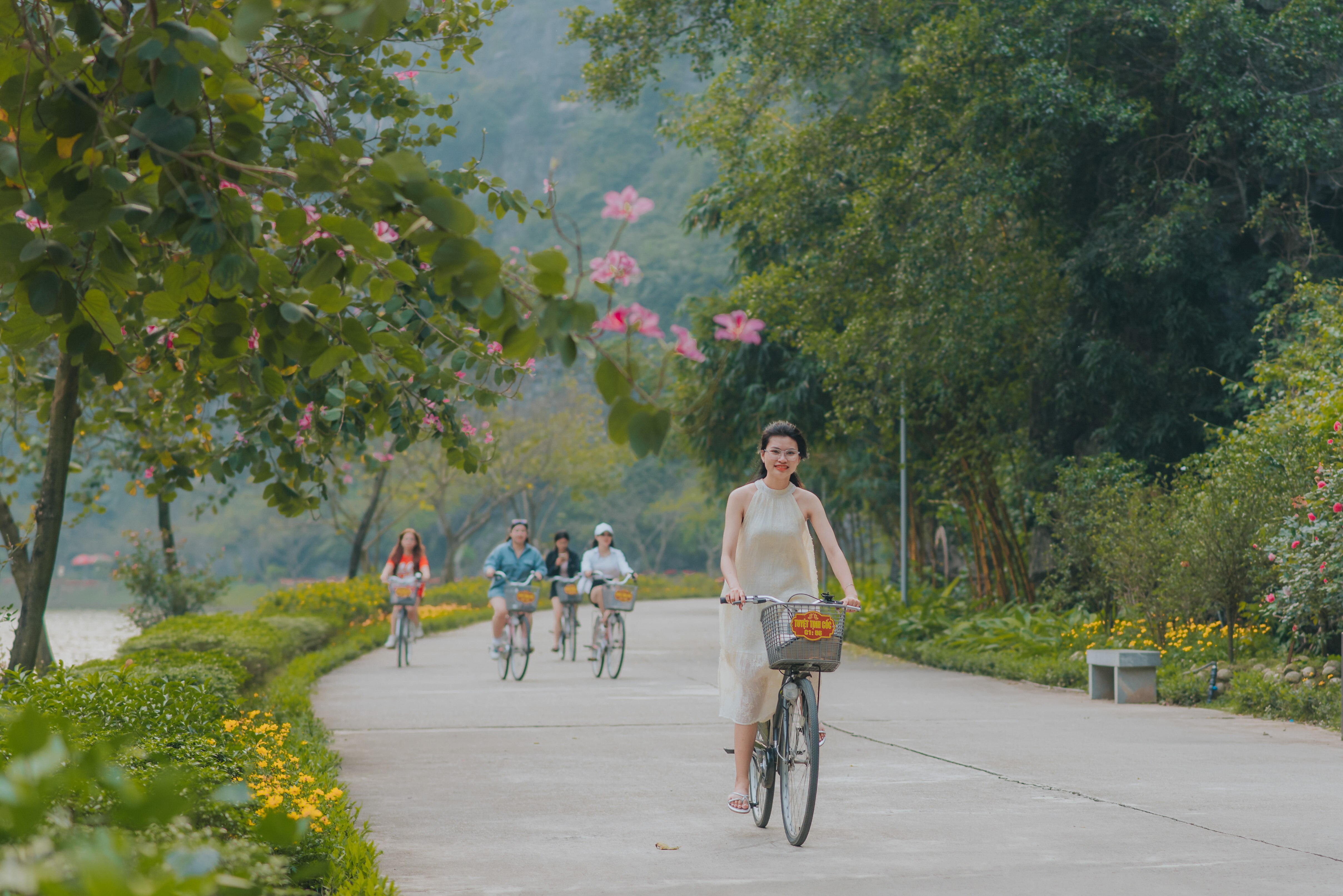 Động Am Tiên Tuyệt tình cốc