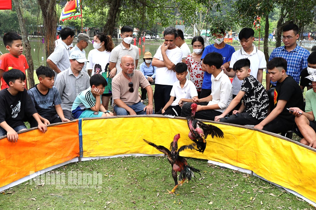 Hội tụ bản sắc văn hóa tại Lễ hội Hoa Lư