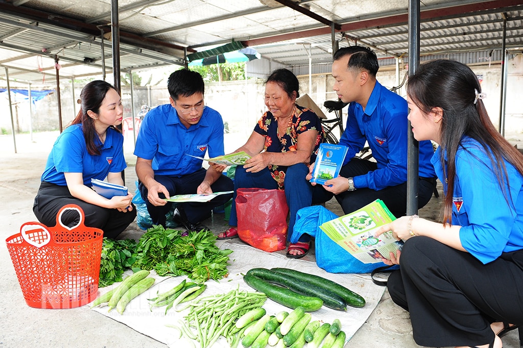 Chuỗi hoạt động hưởng ứng Chiến dịch Thanh niên tình nguyện Hè năm 2024