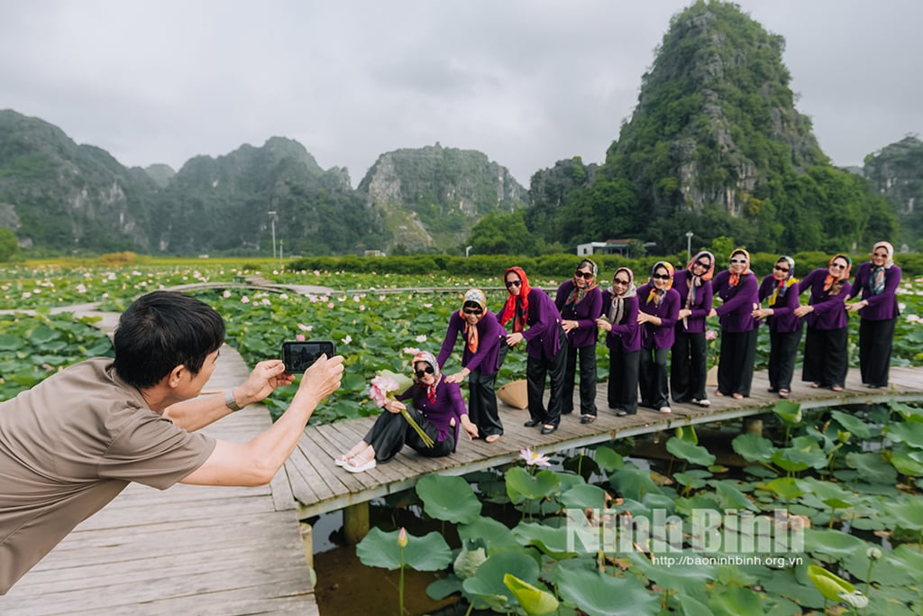 Hang Múa Điểm đến hấp dẫn vào mùa sen tháng 6