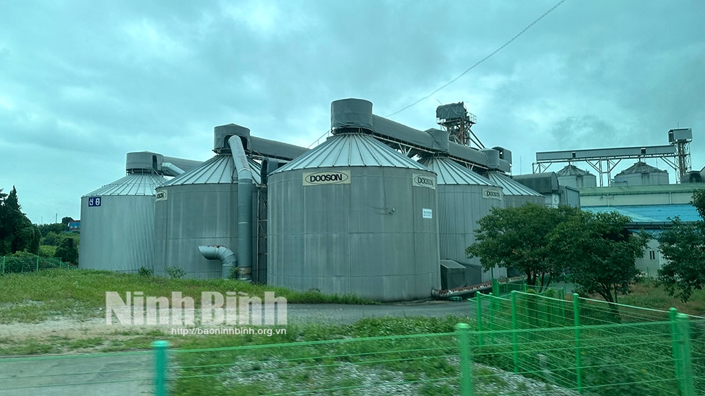 Nhà máy chế biến công suất 100 nghìn tấn gạonăm vận hành chỉ với 8 nhân công
