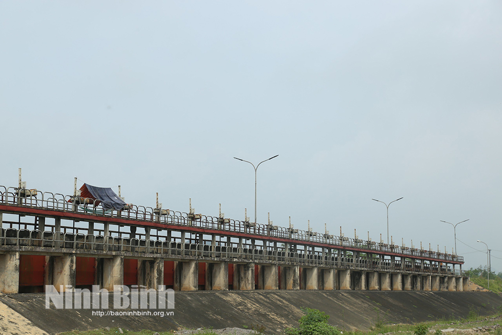 Công ty TNHH MTV Khai thác công trình thủy lợi tỉnh Chủ động triển khai các giải pháp ứng phó trong mùa mưa bão