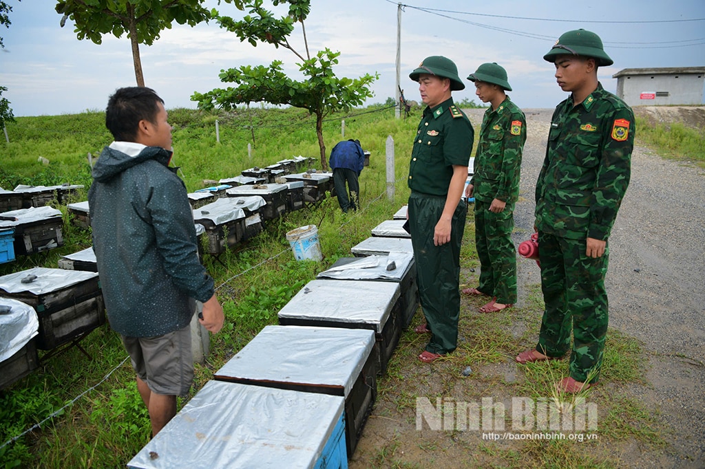 Kim Sơn trước giờ bão số 3 đổ bộ