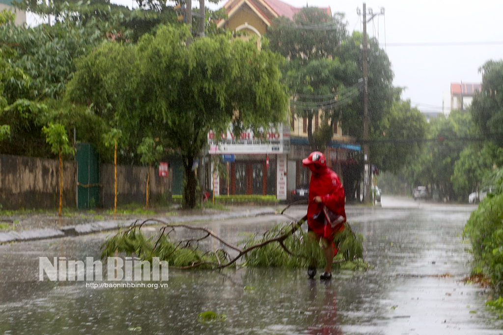 Thành phố Ninh Bình gấp rút khắc phục thiệt hại do mưa bão