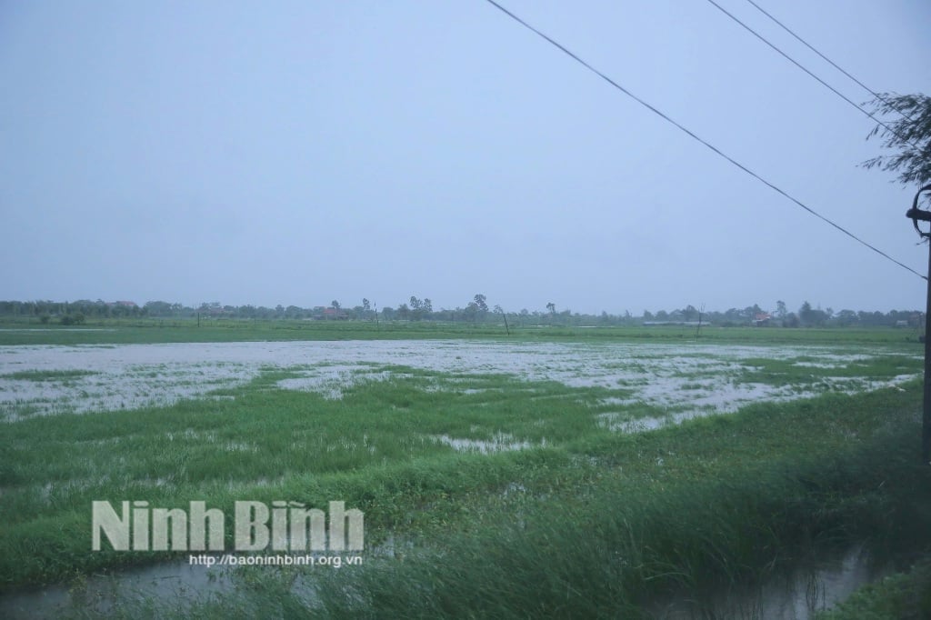 Các địa phương kịp thời chủ động ứng phó với bão số 3 và mưa lớn sau bão