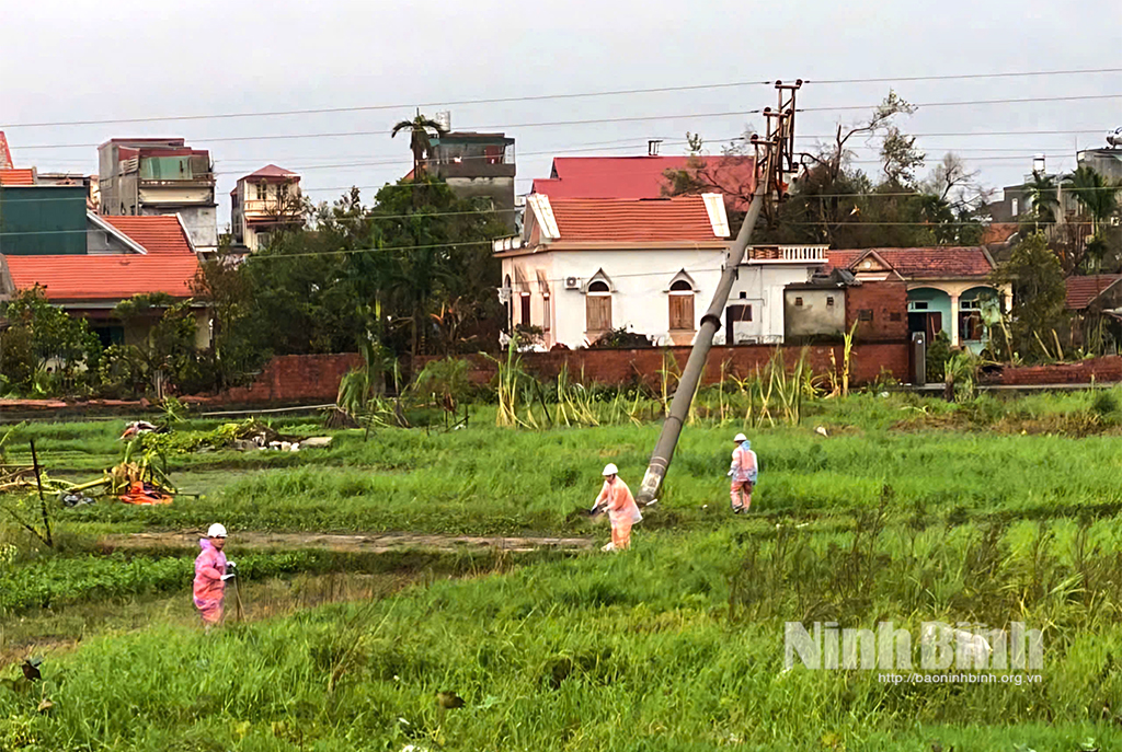 Xung kích hỗ trợ ngành điện Quảng Ninh khắc phục sự cố sau bão số 3