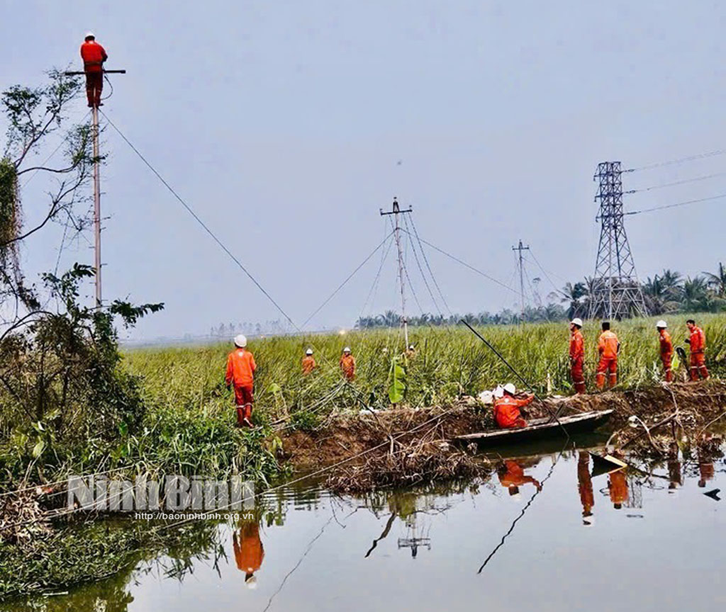 Công ty Điện lực Ninh Bình chung tay khắc phục sự cố lưới điện tại Quảng Ninh sau bão số 3