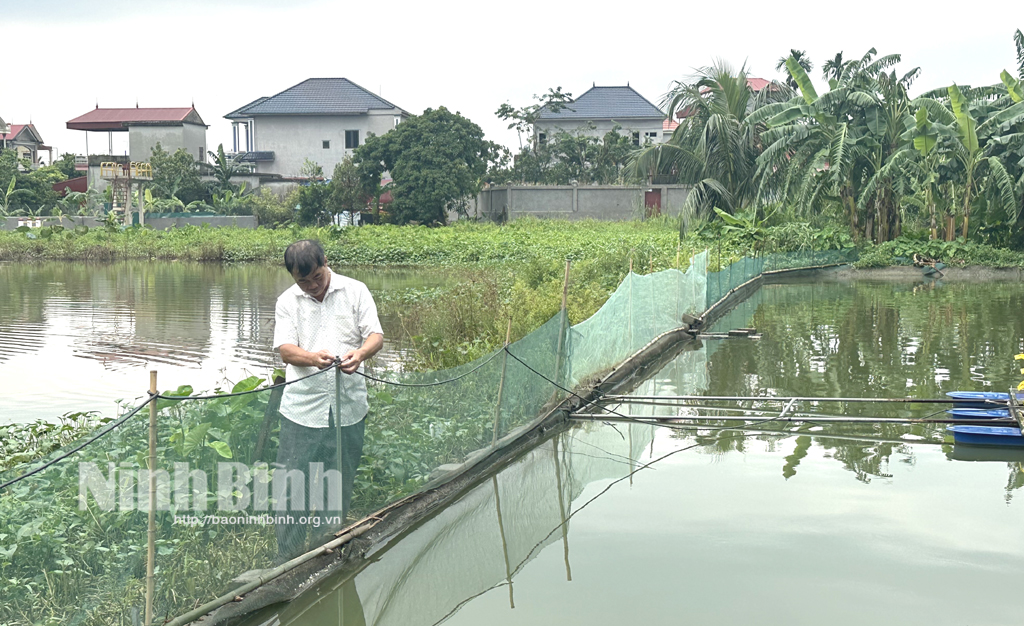 Ninh Bình: Gần 3.200 ha nuôi trồng thủy sản bị thiệt hại do bão số 3