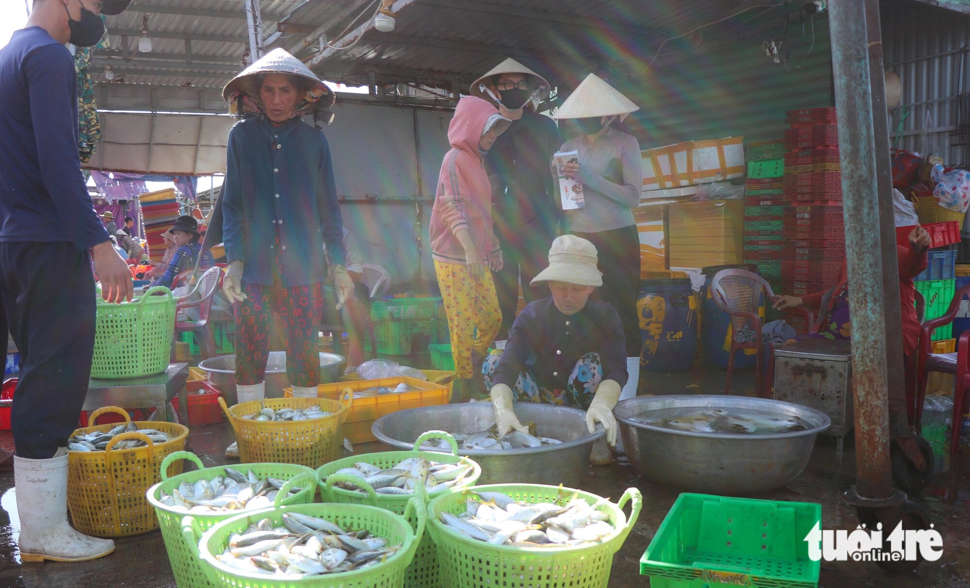 Tiền lệ phí buôn bán trong cảng cá tăng 'chống mặt', người dân mất ăn mất ngủ - Ảnh 1.