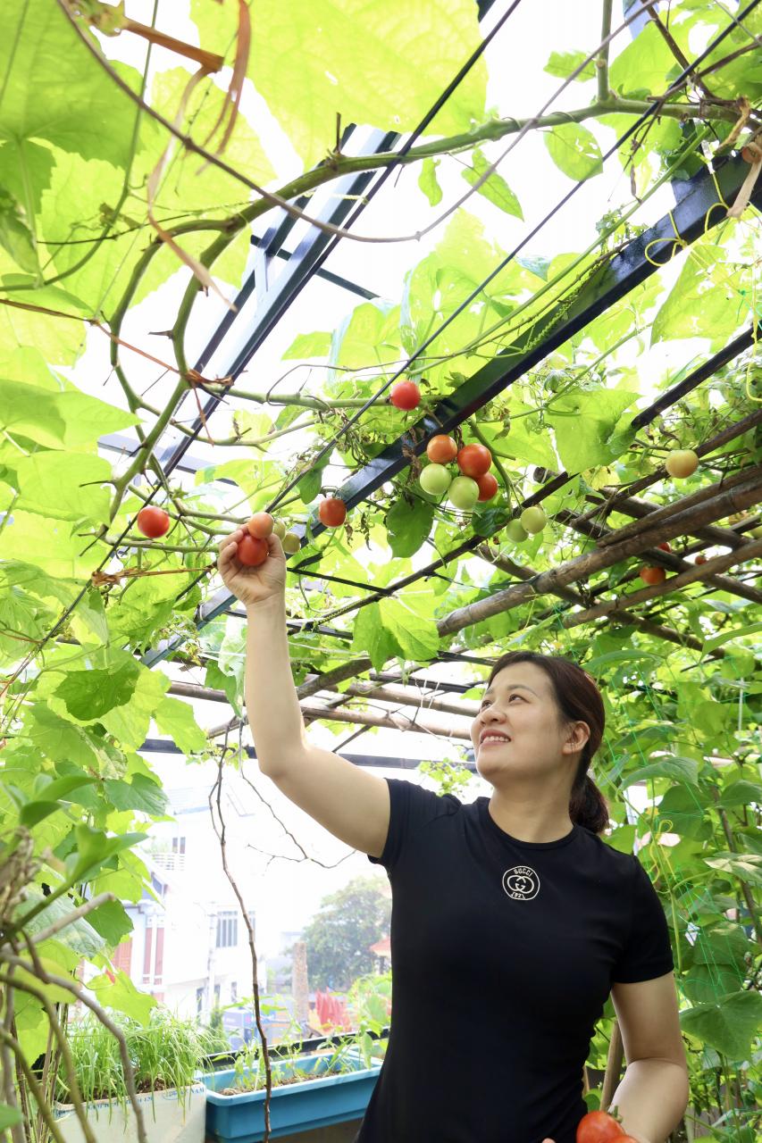 Urban Agriculture: “Gardens in the Clouds”