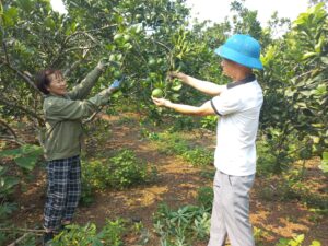 Động lực cho “tam nông”