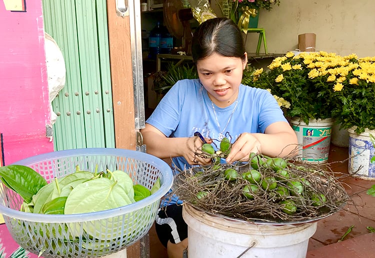 Preserving the beauty of the countryside