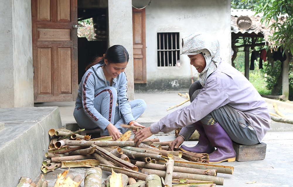 ការចម្លងគំរូសេដ្ឋកិច្ច