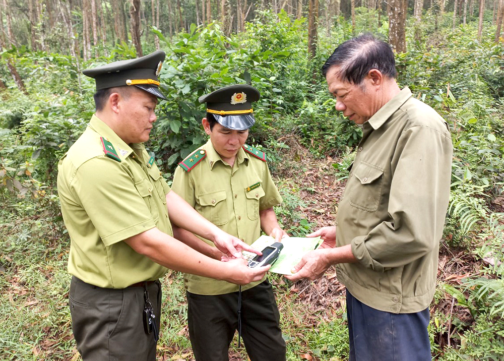 Phát triển rừng bền vững