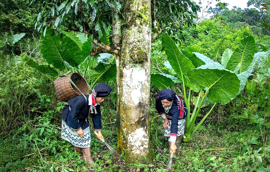 Protección de la biodiversidad basada en la comunidad