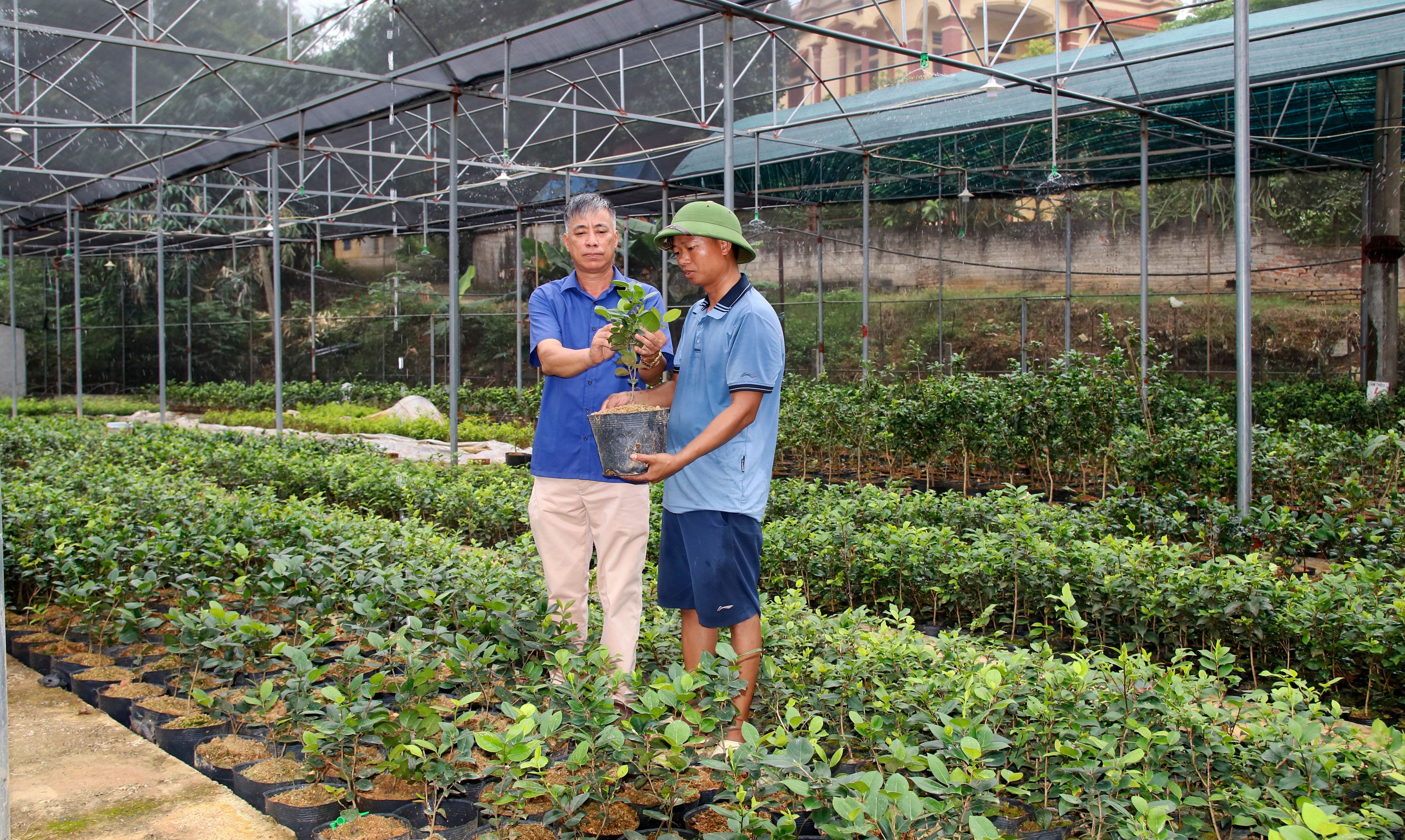 Phu Ninh concentra recursos en la construcción de nuevas áreas rurales