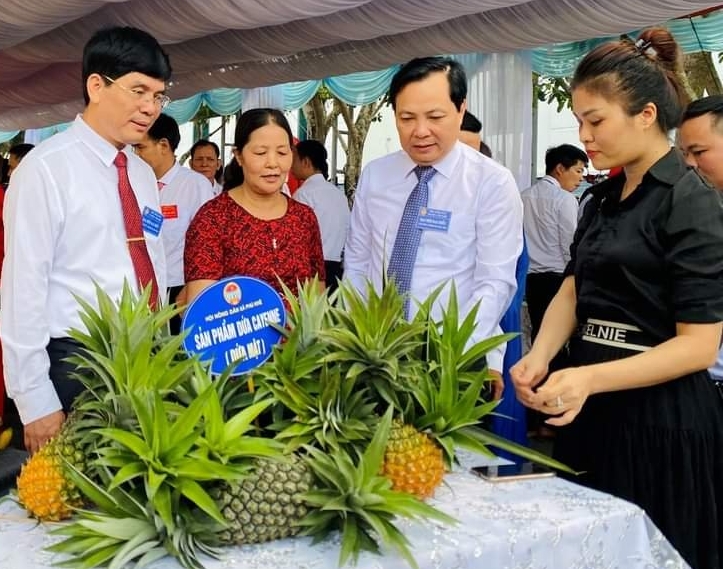 ប្រសិទ្ធភាពនៃគំរូដាំម្នាស់ Cayen