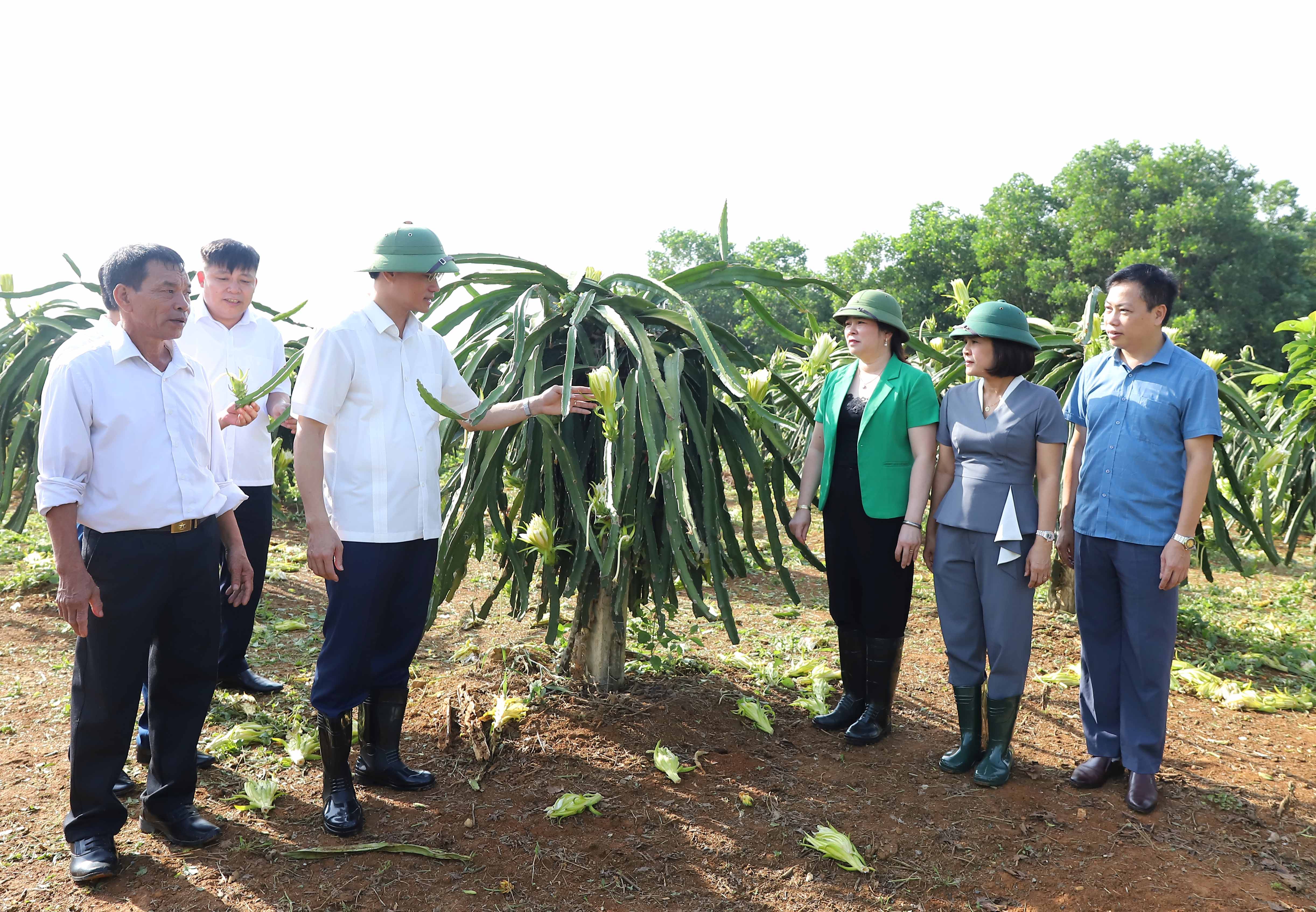 Thực hiện các hoạt động vì người cao tuổi thiết thực, tránh hình thức