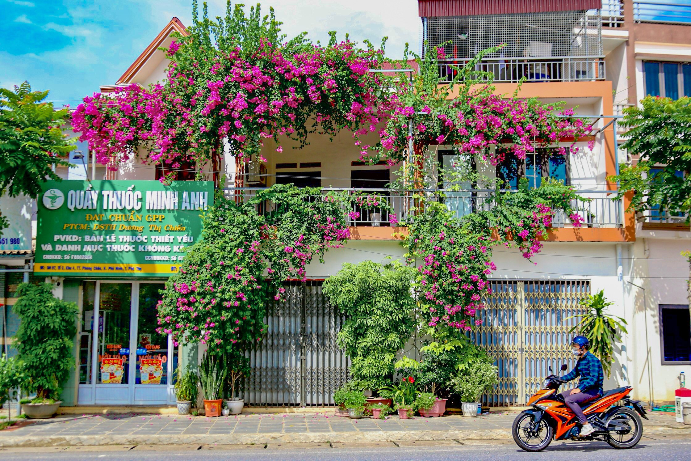 Bên giàn hoa giấy