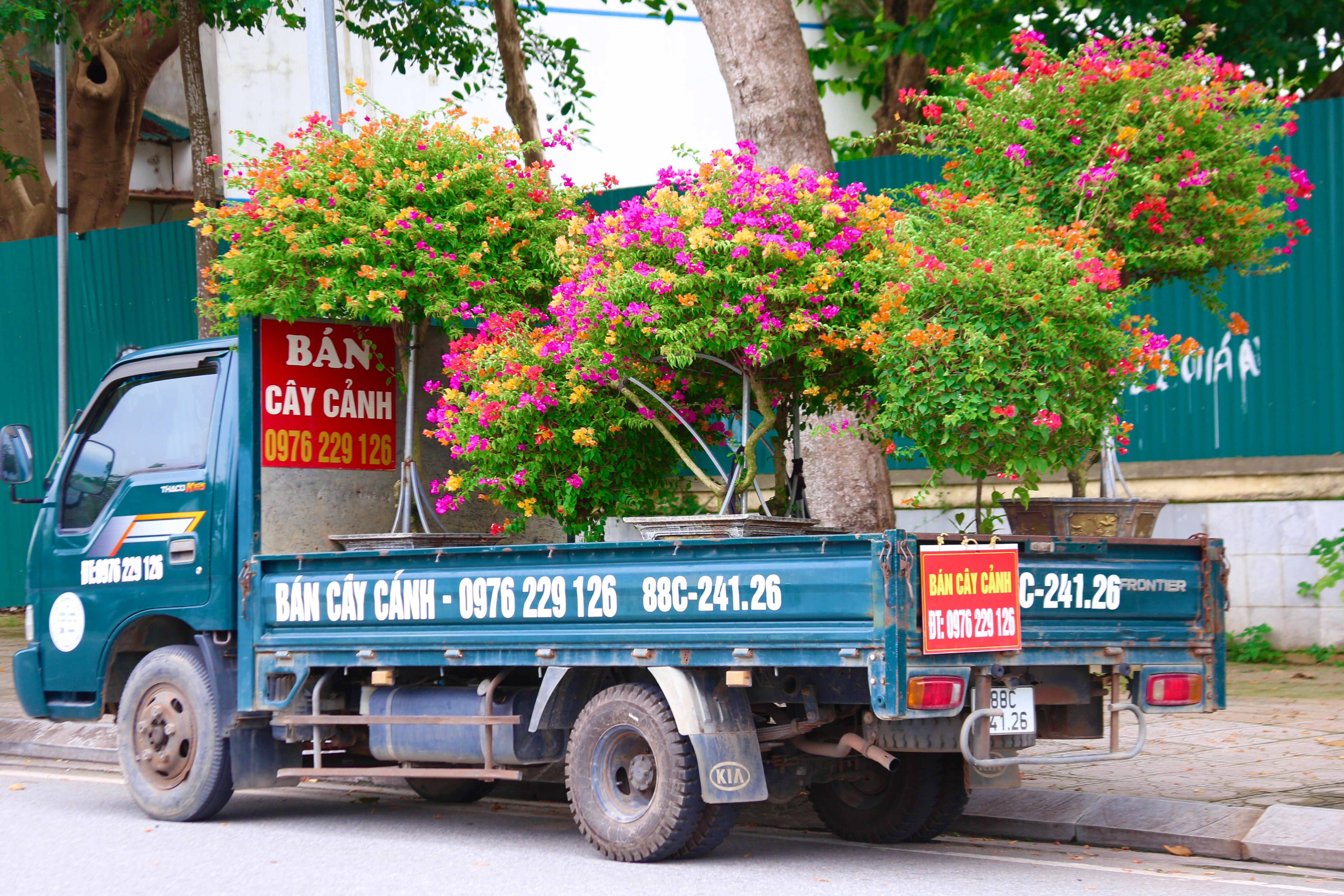 Bên giàn hoa giấy