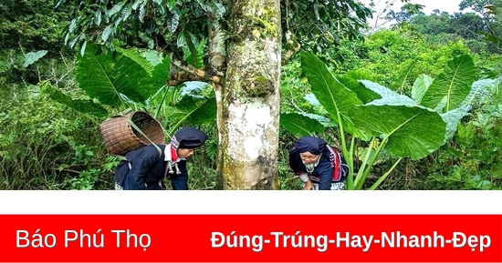 Bảo vệ đa dạng sinh học dựa vào cộng đồng