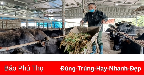 Đoàn kết giúp nhau phát triển kinh tế, giảm nghèo bền vững